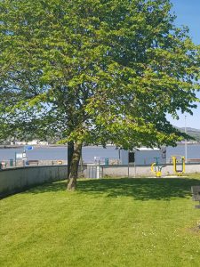 20190514_155927-min